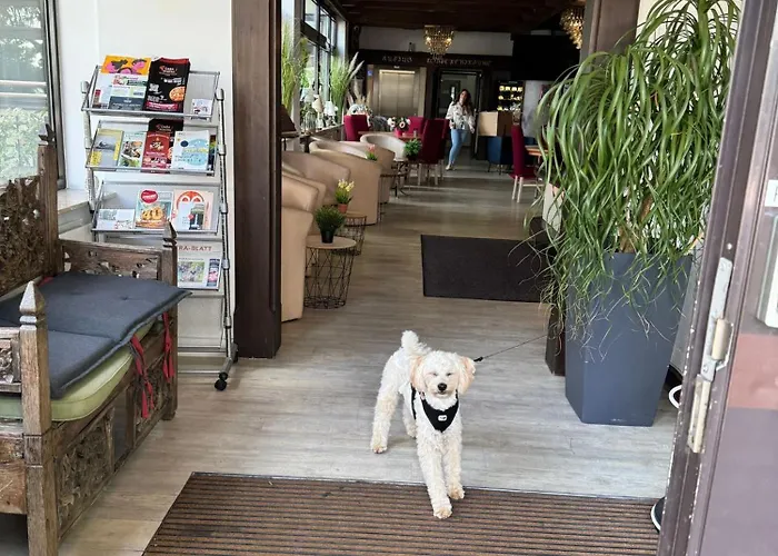 Hotel Regina Suites